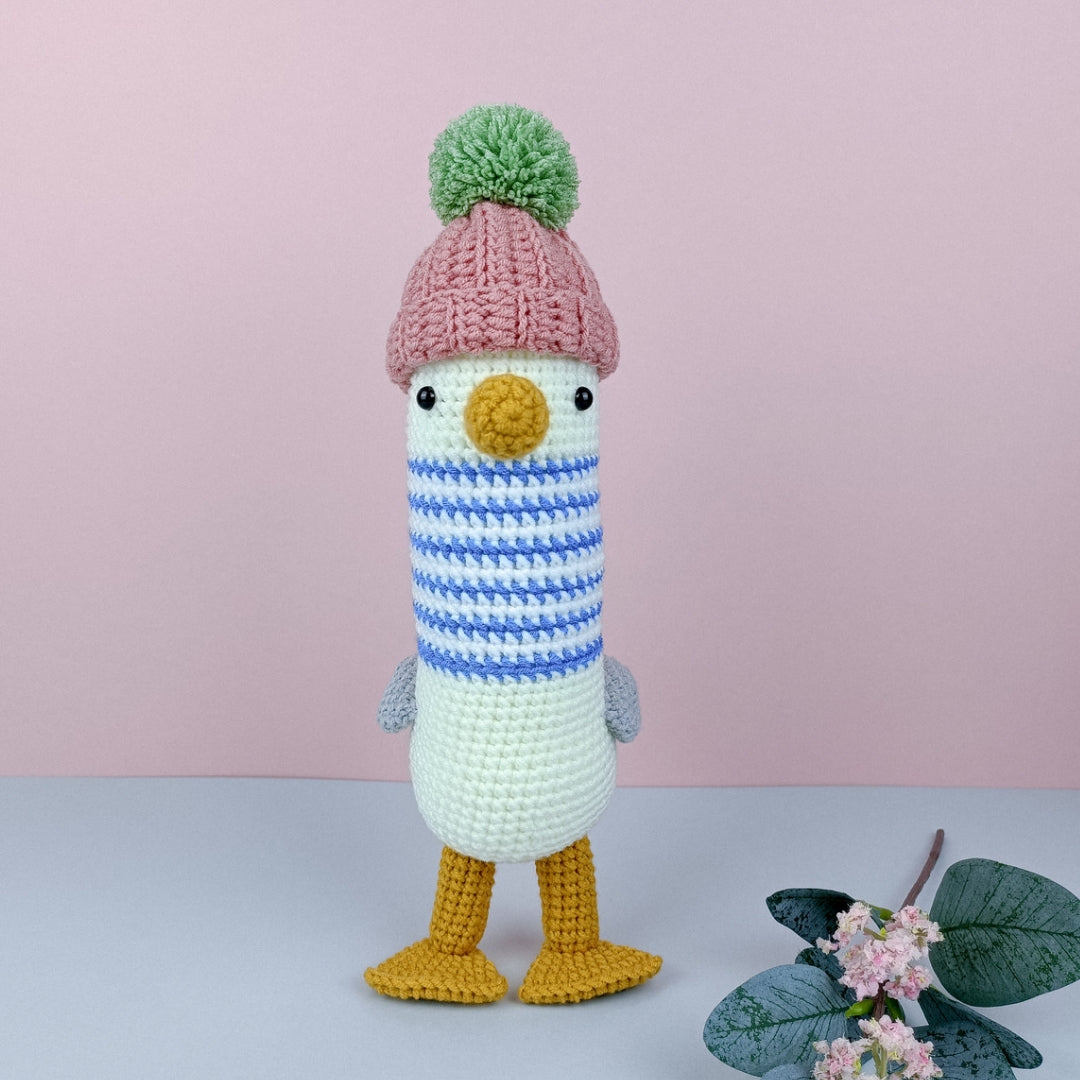The Friendly-looking Seagulll